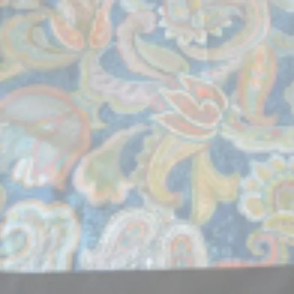 Pottery Barn Pillow Sham in Ana Paisley